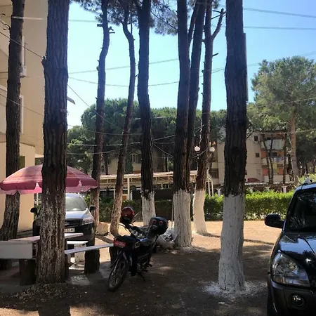 Apartament Apartament Bedriu